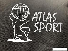 Батут Atlas Sport 252 см - 8ft Pro (с лестницей, внешняя сетка, сливовый), фото 3