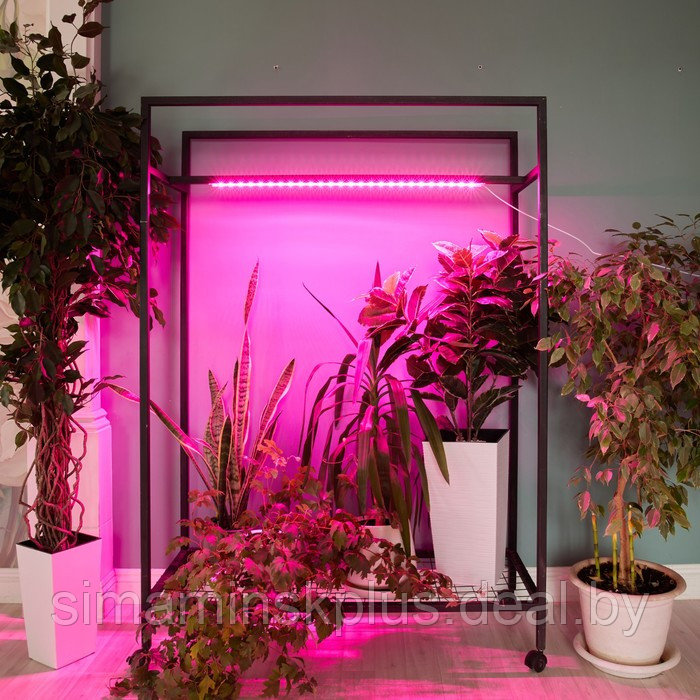 Светильник для растений светодиодный линейный, 900 мм Uniel, 14 Вт, LED, IP65, цвет прозрачный - фото 6 - id-p226160729