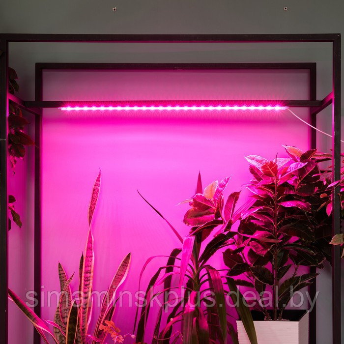 Светильник для растений светодиодный линейный, 900 мм Uniel, 14 Вт, LED, IP65, цвет прозрачный - фото 7 - id-p226160729