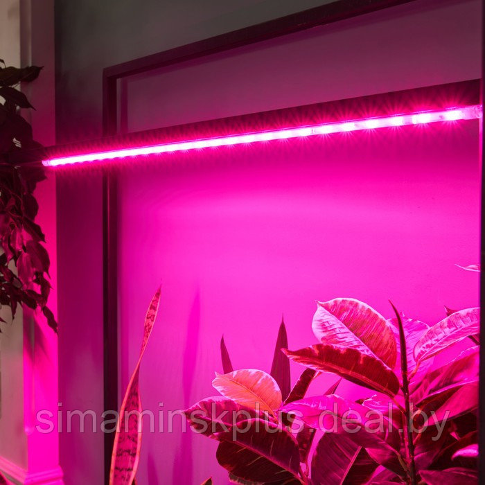 Светильник для растений светодиодный линейный, 900 мм Uniel, 14 Вт, LED, IP65, цвет прозрачный - фото 8 - id-p226160729