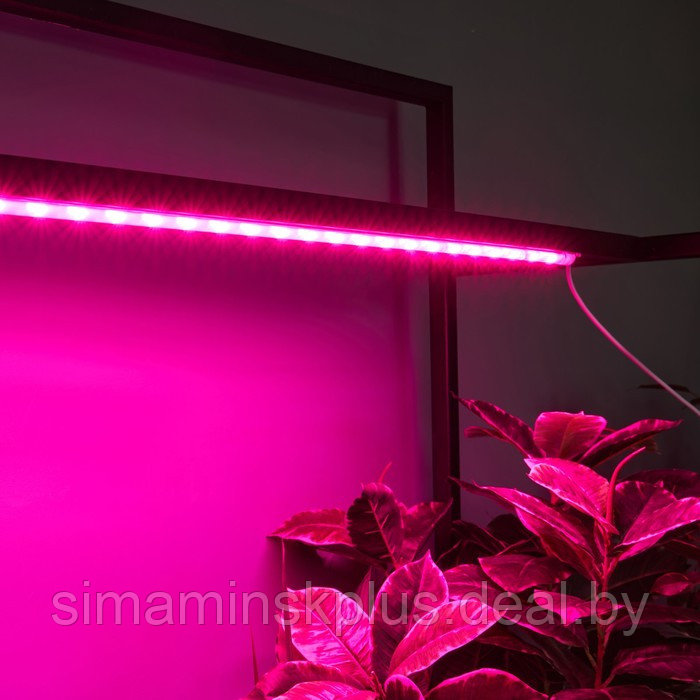Светильник для растений светодиодный линейный, 900 мм Uniel, 14 Вт, LED, IP65, цвет прозрачный - фото 9 - id-p226160729