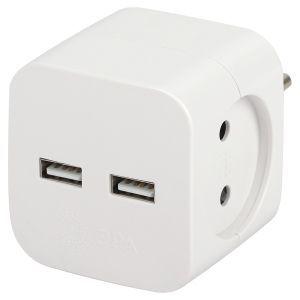 OEM Разветвитель электрический ЭРА SP-2-USB-W на 2 розетки 220V + 2xUSB 2400mA, без заземл 10А (белый) - фото 1 - id-p226164633