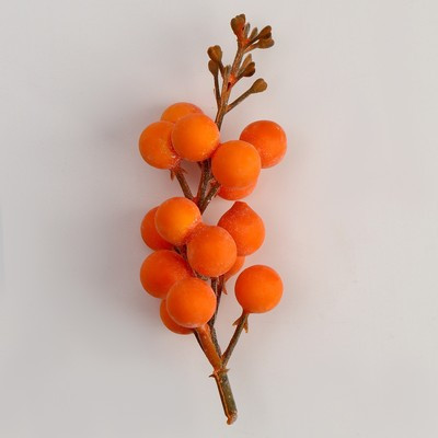 Ветка Оранжевые ягодки, 15 ягод - фото 1 - id-p226194183