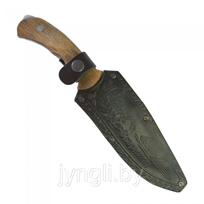 Нож туристический Кизляр Скорпион - фото 5 - id-p226196578