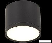 Точечный светильник ST Luce Rene ST113.442.09
