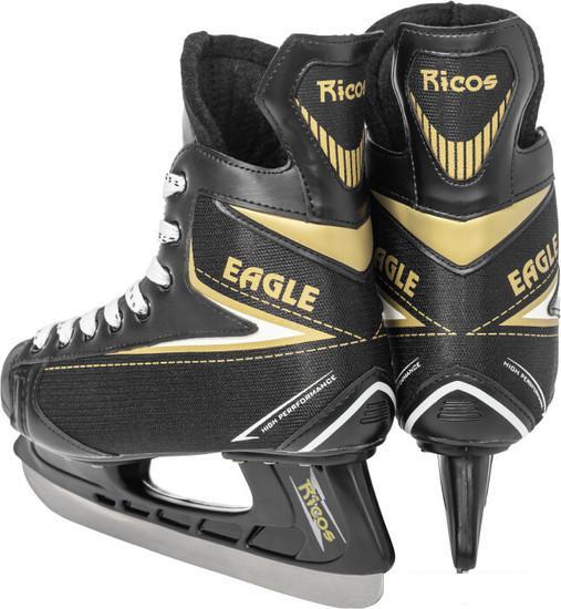 Хоккейные коньки Ricos Eagle PW-206AJ (р.38, черный) - фото 2 - id-p225810445