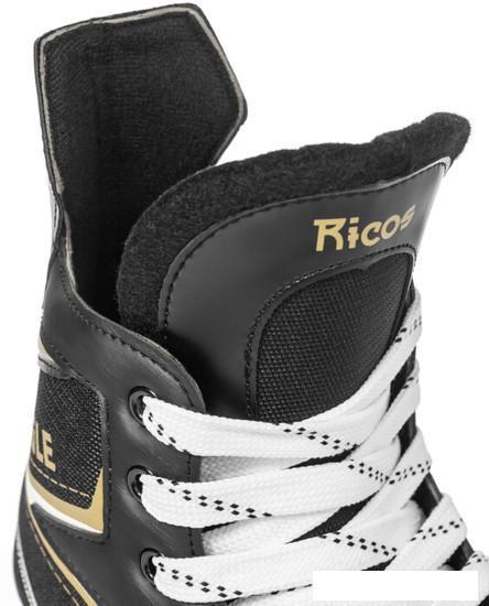 Хоккейные коньки Ricos Eagle PW-206AJ (р.38, черный) - фото 7 - id-p225810445