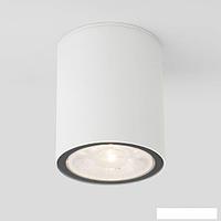 Уличный накладной светильник Elektrostandard Light 2103 35131/H (белый)