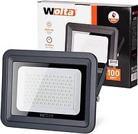 Прожектор Wolta WFL-100W/06