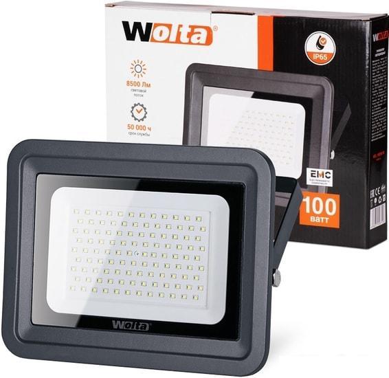 Прожектор Wolta WFL-100W/06 - фото 1 - id-p225817534