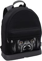 Городской рюкзак Erich Krause StreetLine Black Dog 60349