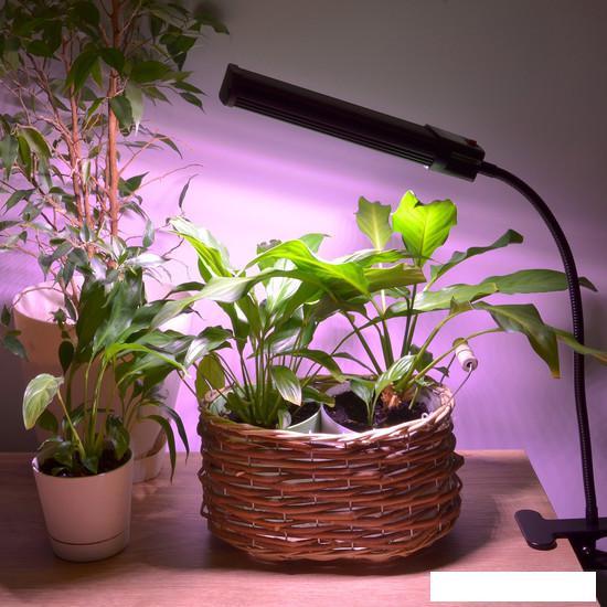 Лампа для растений Uniel ULT-P31-18W/SPLE/40 IP40 BLACK SINGLE UL-00009251 - фото 8 - id-p225807861