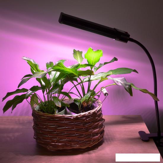 Лампа для растений Uniel ULT-P31-18W/SPLE/40 IP40 BLACK SINGLE UL-00009251 - фото 9 - id-p225807861