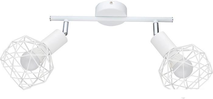 Спот Arte Lamp Sospiro Bianco A6141AP-2WH - фото 1 - id-p225813759