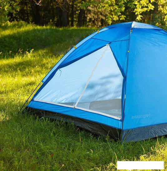 Треккинговая палатка Calviano Acamper Domepack 4 (синий) - фото 2 - id-p225826231