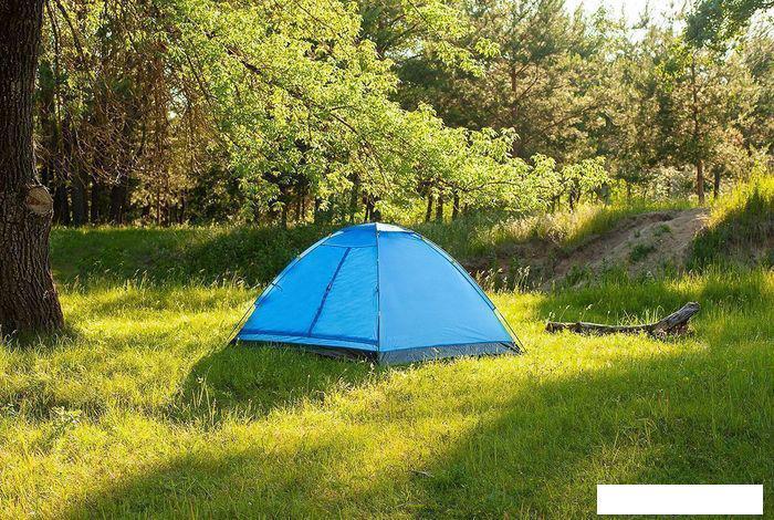 Треккинговая палатка Calviano Acamper Domepack 4 (синий) - фото 4 - id-p225826231