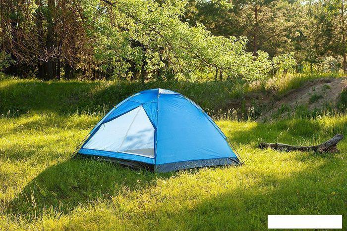 Треккинговая палатка Calviano Acamper Domepack 4 (синий) - фото 6 - id-p225826231