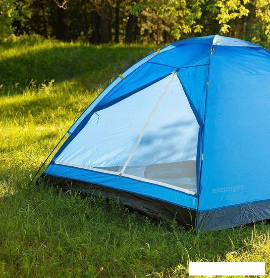 Треккинговая палатка Calviano Acamper Domepack 4 (синий) - фото 7 - id-p225826231