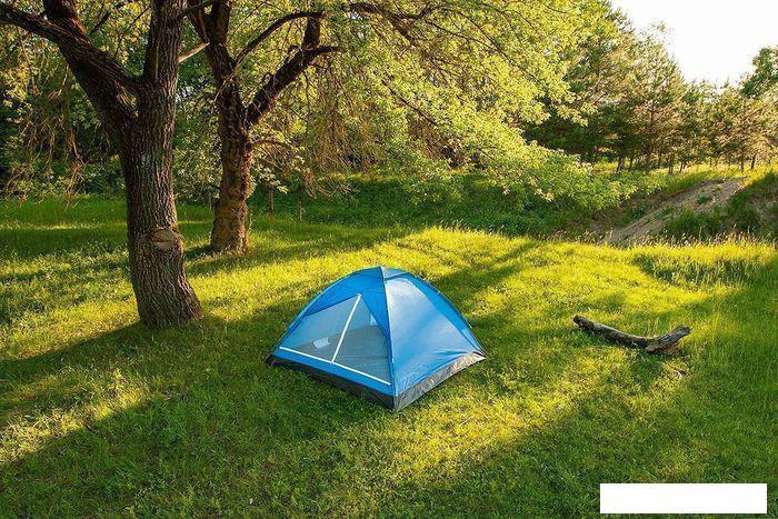 Треккинговая палатка Calviano Acamper Domepack 4 (синий) - фото 8 - id-p225826231
