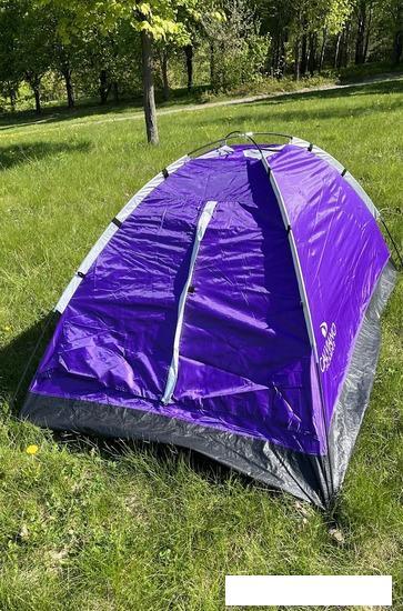 Треккинговая палатка Calviano Acamper Domepack 4 (фиолетовый) - фото 9 - id-p225809676