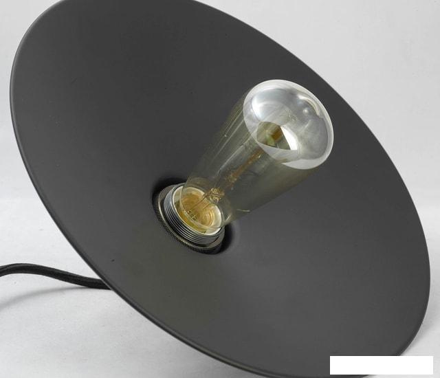 Лампа Lussole LOFT GRLSP-9601 - фото 4 - id-p225803451