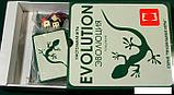 Настольная игра Правильные игры Эволюция (Evolution), фото 6