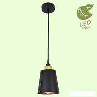 Лампа Lussole LOFT GRLSP-9861