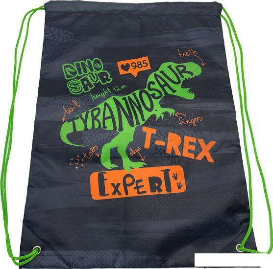 Школьный рюкзак ArtSpace School Friend T-Rex Uni_17749 - фото 3 - id-p226162663