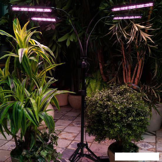 Лампа для растений Uniel ULT-P32-60W/SPLE/TM/40 IP40 BLACK QUAD UL-00008906 - фото 6 - id-p225807184
