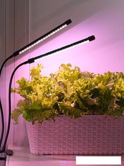 Лампа для растений ArtStyle TL-FC02S2B - фото 5 - id-p225815962