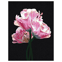 Картина по номерам на черном холсте "Розовые цветы", 30*40 КХп_48141
