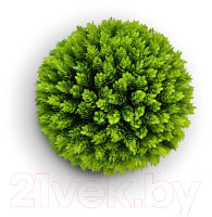Искусственное растение ForGarden Самшит Fir Grass Ball Dia / FGN BF01023