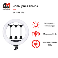 Кольцевая лампа ZB-F488, 55см, черный
