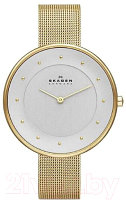 Часы наручные женские Skagen SKW2141