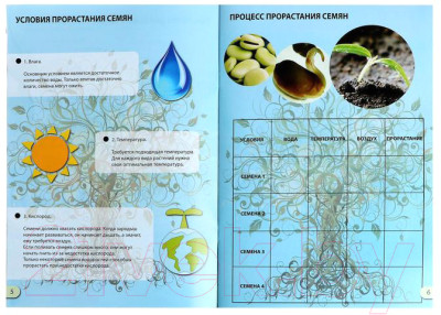 Набор для выращивания растений Эврики Наука о растениях / 5066413 - фото 4 - id-p226237988