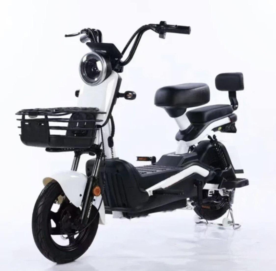 Электроскутер Shtenli Model 21 Performance (аккумулятор 4шт 20Ач12В)