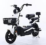 Электроскутер Shtenli Model 21 Performance Pro (аккумулятор 5шт 20Ач12В), фото 6