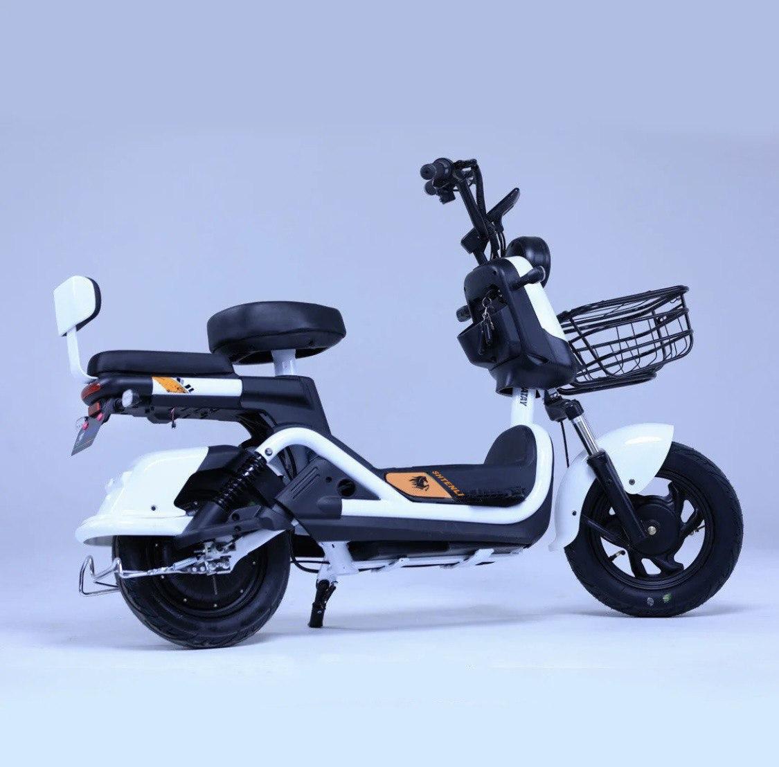 Электроскутер Shtenli Model 21 Performance Pro (аккумулятор 5шт 20Ач12В)
