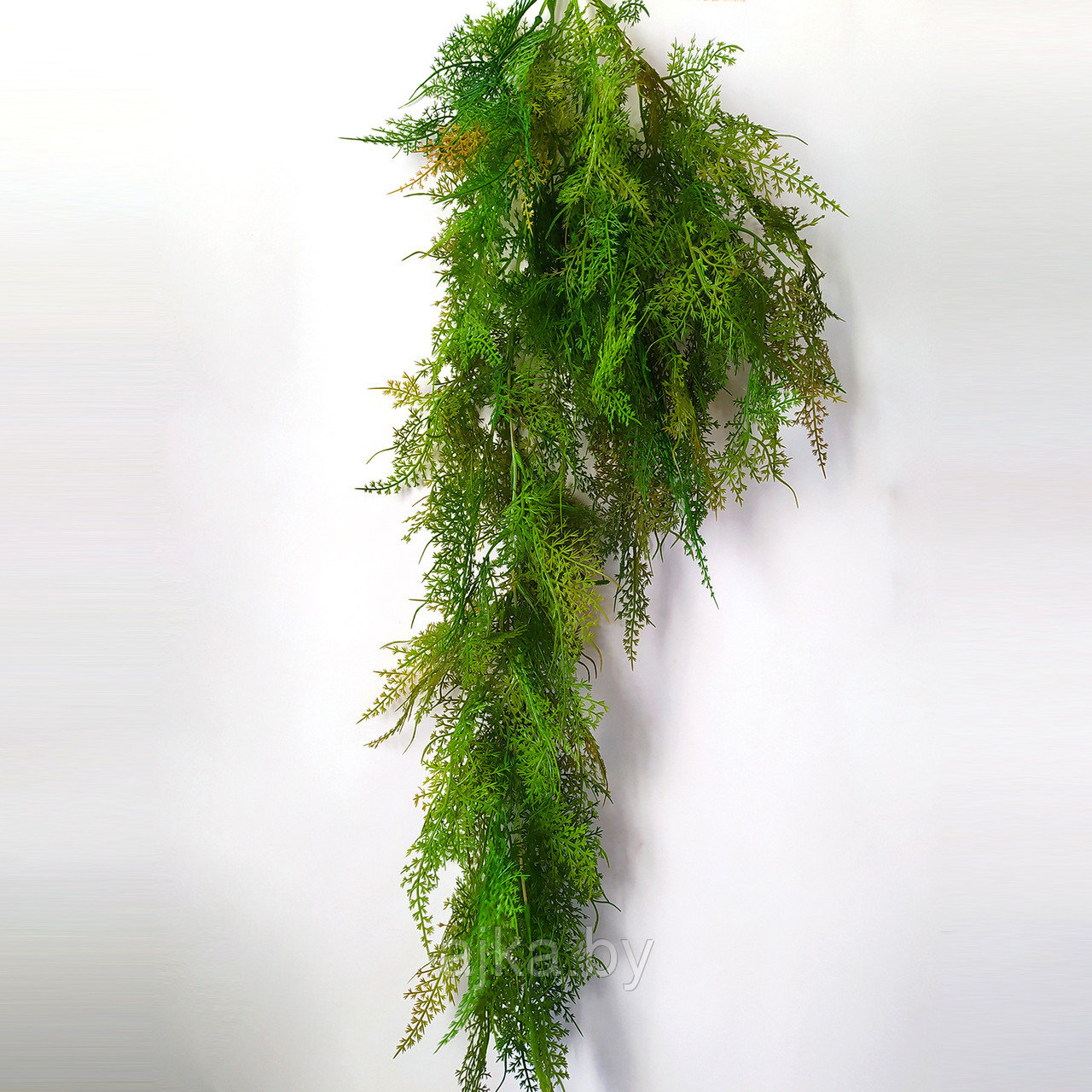 Аспарагус перистый 85 см, зеленый - фото 2 - id-p226241704
