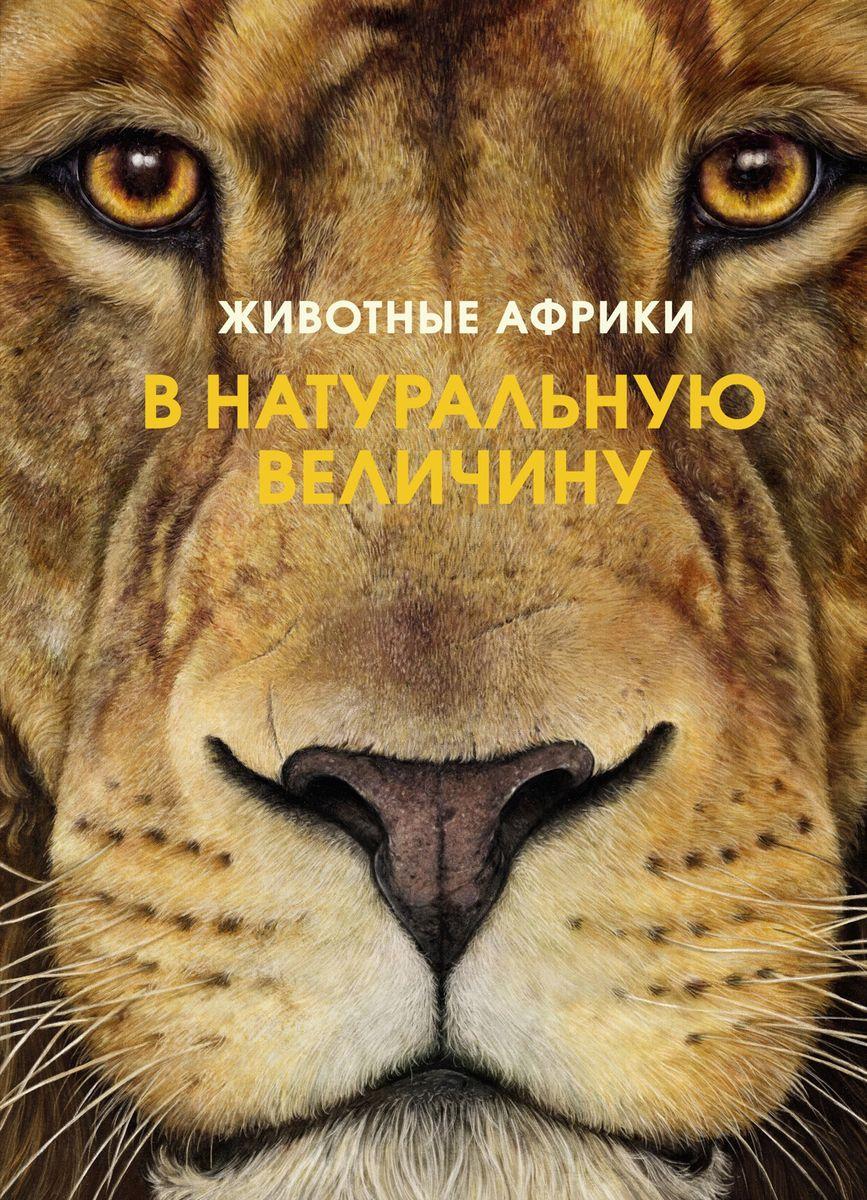 Книга Животные Африки в натуральную величину - фото 1 - id-p226249753