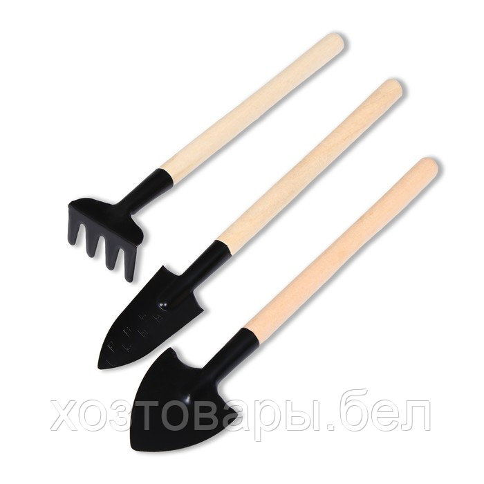 Набор садового инструмента, 3 предмета: грабли, 2 лопатки, длина 24 см, деревянные ручки - фото 1 - id-p226255735