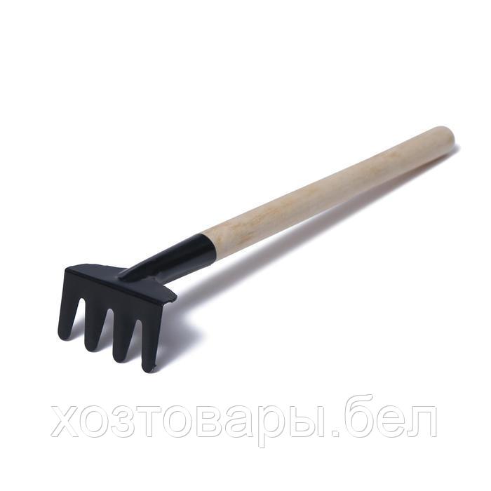 Набор садового инструмента, 3 предмета: грабли, 2 лопатки, длина 24 см, деревянные ручки - фото 6 - id-p226255735