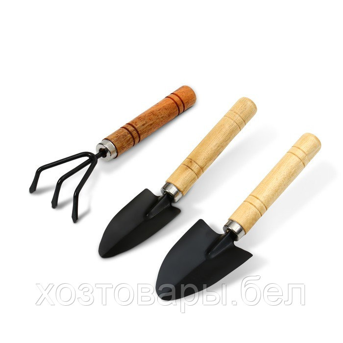 Набор садового инструмента, 3 предмета: рыхлитель, 2 совка, длина 20 см, деревянные МИКС ручки, Gree - фото 7 - id-p226255609