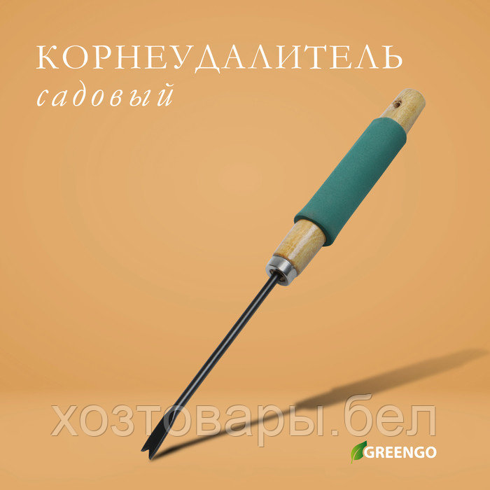 Корнеудалитель 32см, деревянная ручка с поролоном, Greengo - фото 2 - id-p226255618