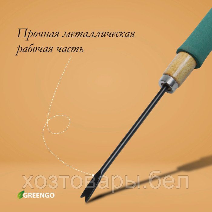 Корнеудалитель 32см, деревянная ручка с поролоном, Greengo - фото 4 - id-p226255618