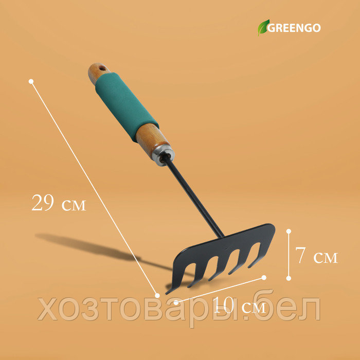 Грабельки прямые 29см, 5 зубцов, металл, деревянная ручка с поролоном, Greengo - фото 4 - id-p226255625