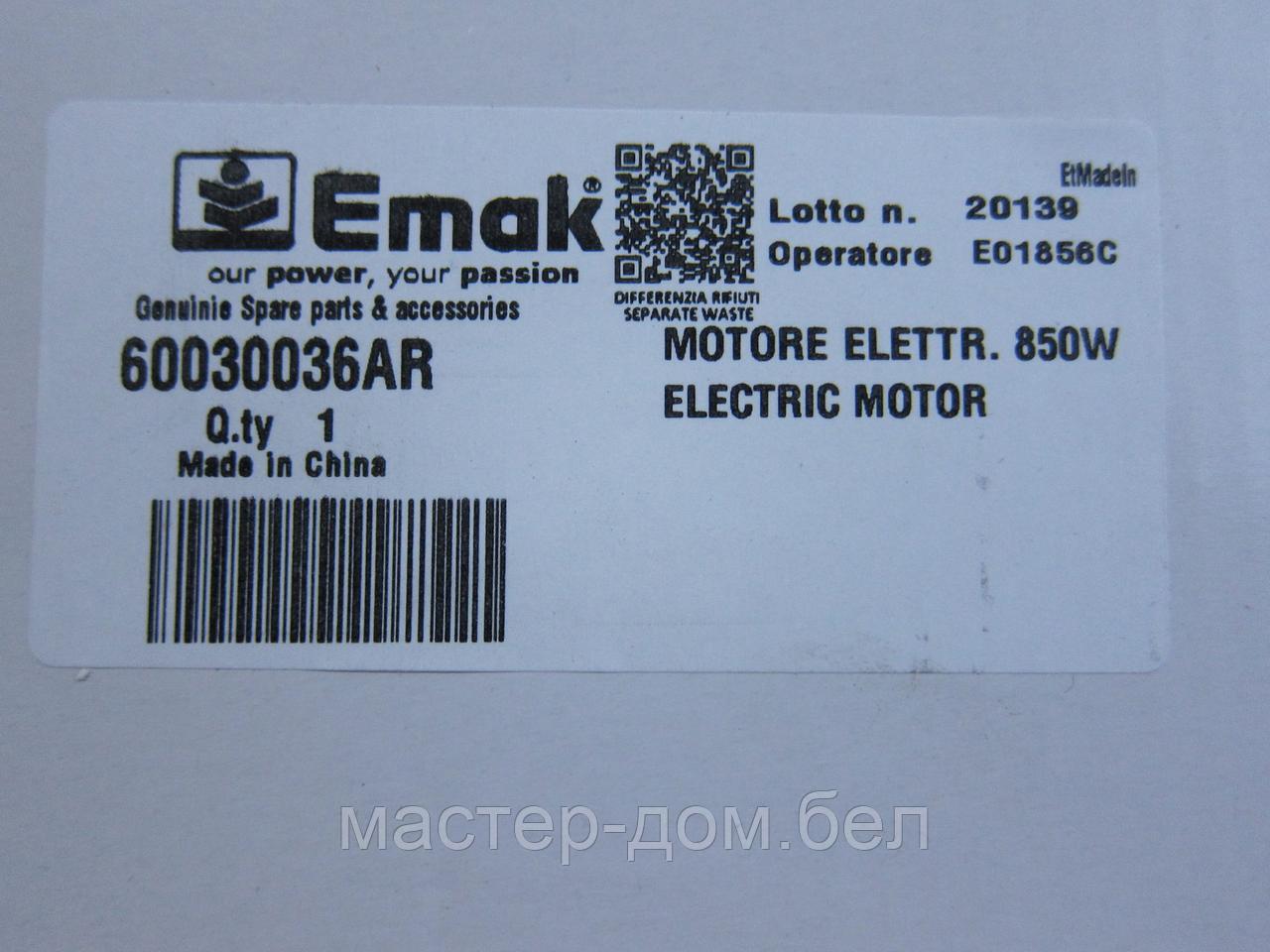 Электродвигатель 250v 50hz 1100w efco (Электромотор в сборе для электрического триммера EFCO) - фото 3 - id-p206792240