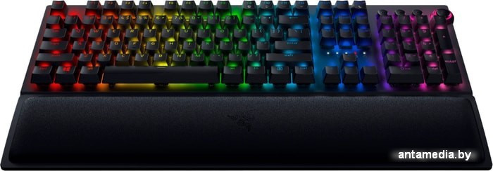 Клавиатура Razer BlackWidow V3 Pro Green Switch (нет кириллицы) - фото 3 - id-p226256907