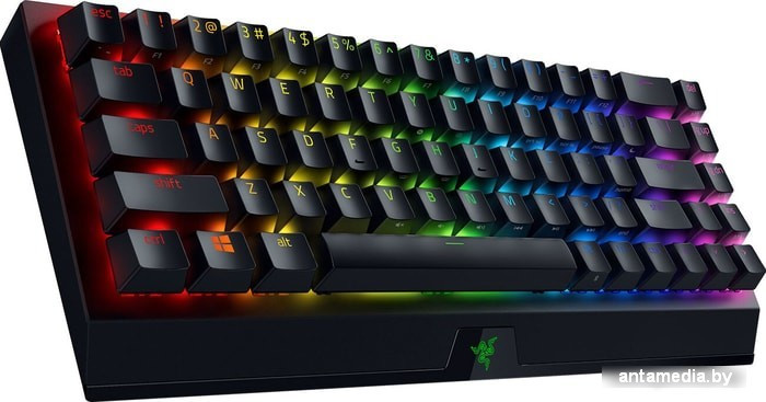 Клавиатура Razer Blackwidow V3 Mini HyperSpeed Yellow Switch - фото 2 - id-p226256908