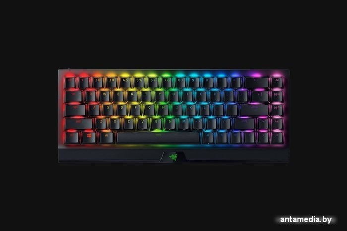 Клавиатура Razer Blackwidow V3 Mini HyperSpeed Yellow Switch - фото 3 - id-p226256908